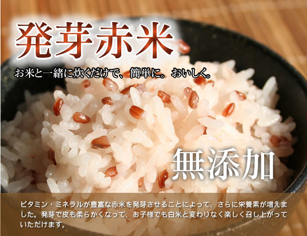 発芽赤米