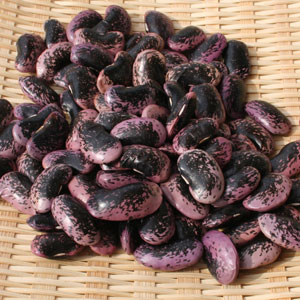 長野県産特大紫花豆の基本の戻し方