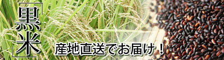 黒米の特集ページへ