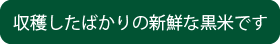 収穫したばかりの黒米です