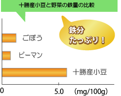 十勝産小豆と野菜の鉄分の比較