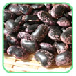 紫花豆の基本の戻し方