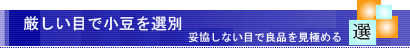 厳しい目で小豆を選別