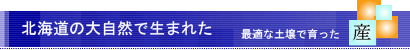 北海道産で育った小豆