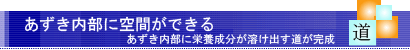 乾燥すると小豆の内部に空間ができて成分が溶けやすくなります