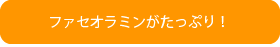 白いんげん豆（白花豆）ファセオラミンがたっぷり