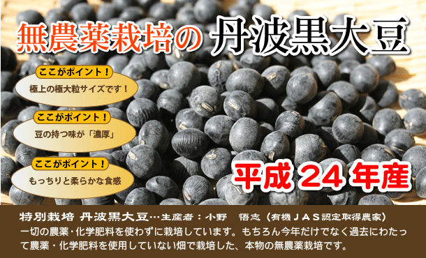 無農薬栽培の丹波黒大豆